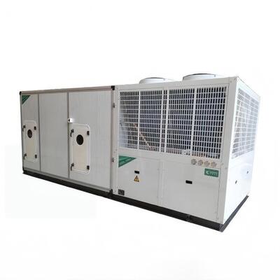 Comprar Unidad de aire acondicionado multifuncional en el techo de 3 toneladas para tratamiento de aire compuesto Fabricación en línea